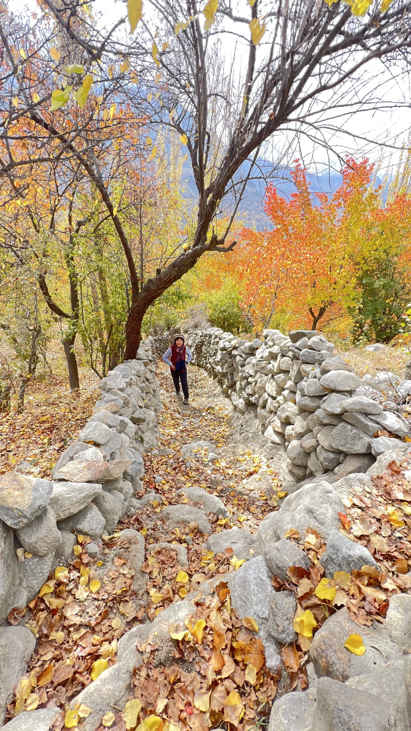Hunza Valley Panorama