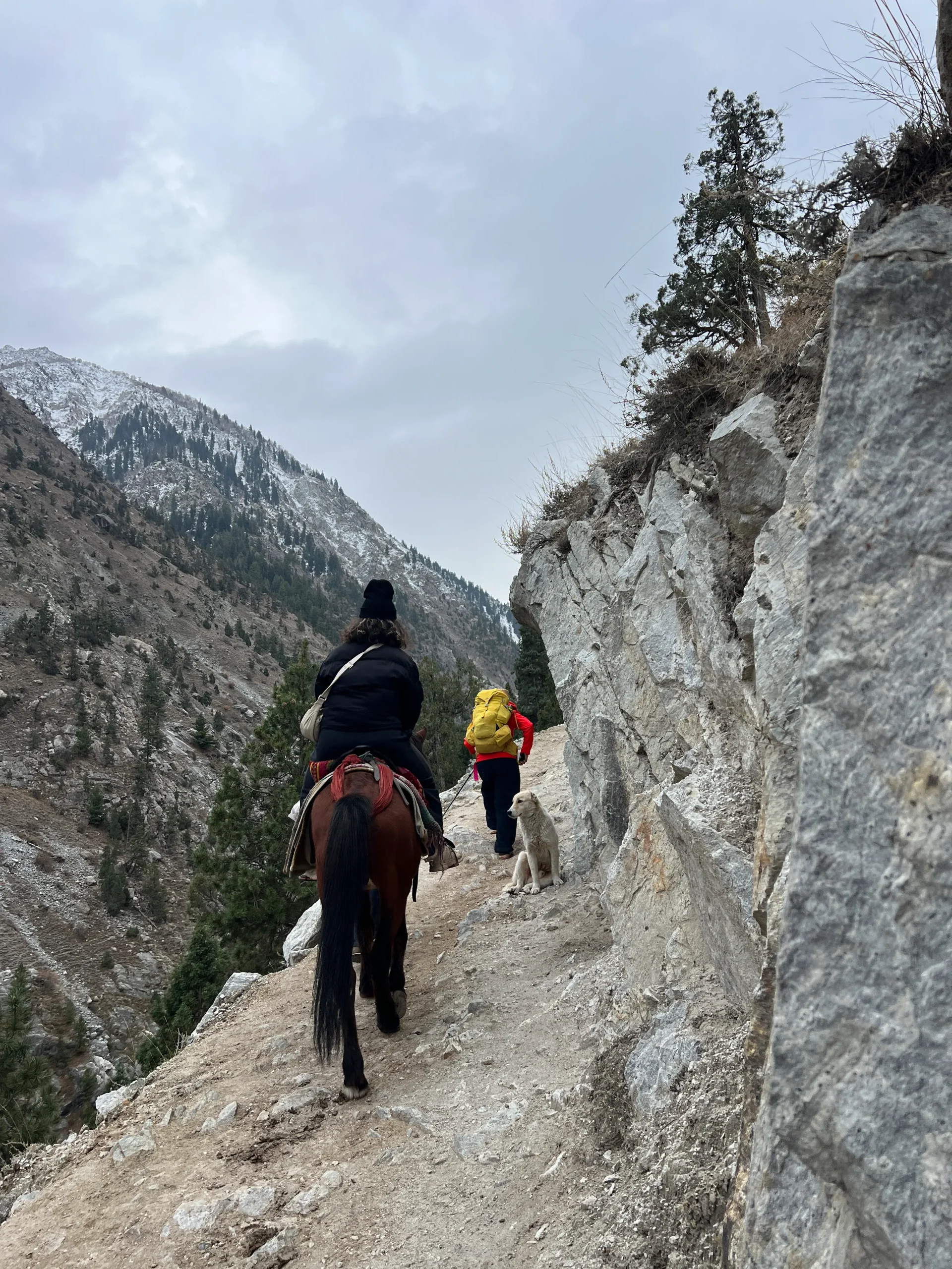 Fairy Meadows Trek Northern Pakistan
